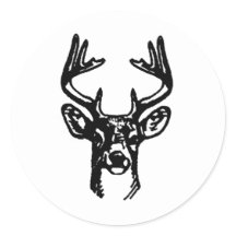 8 Point Buck White Schwanz Dee