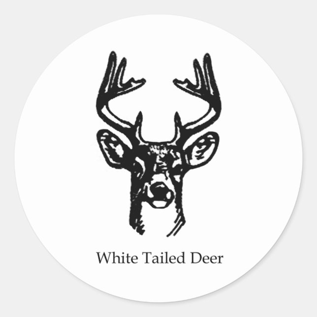8 Point Buck White Schwanz Dee Runder Aufkleber (Vorderseite)