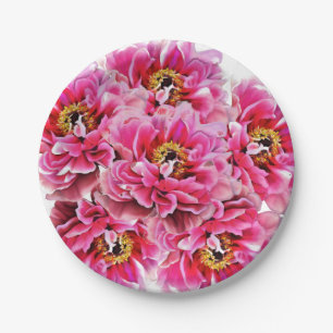 8 Teller Pink Peonies
