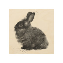8" x 8" Porträt eines schwarzen Lionhead