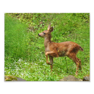 8X10 Kleiner König/Königin der Städte Fotodruck