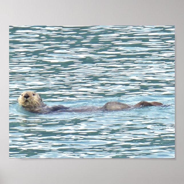 8x10 Poster Paper (Matte) de loutre (Devant)
