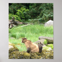 8x10 Poster Papier (Matte) de grizzli & petit
