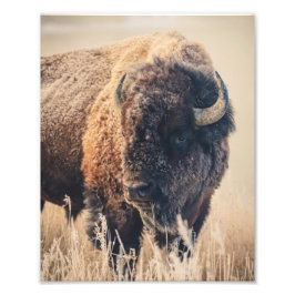 8x10 Print - Frosty Morning Fotodruck