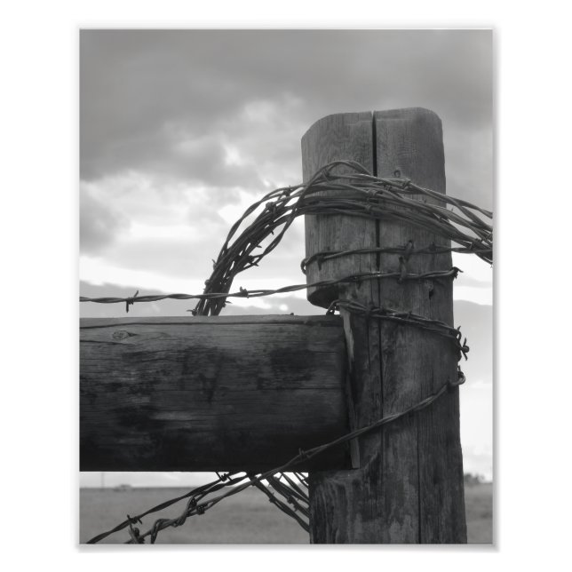 8x10 Print - Wood & the Wire Fotodruck (Vorne)