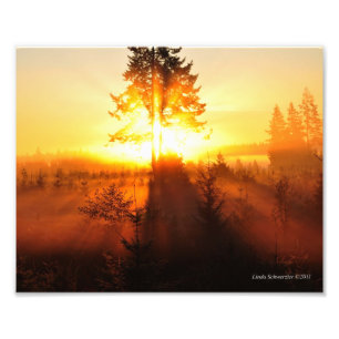 8X10 Sonnenaufgangsnebel im Pazifik im Nordwesten Fotodruck