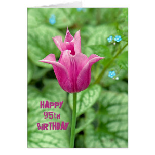 95e anniversaire Tulip