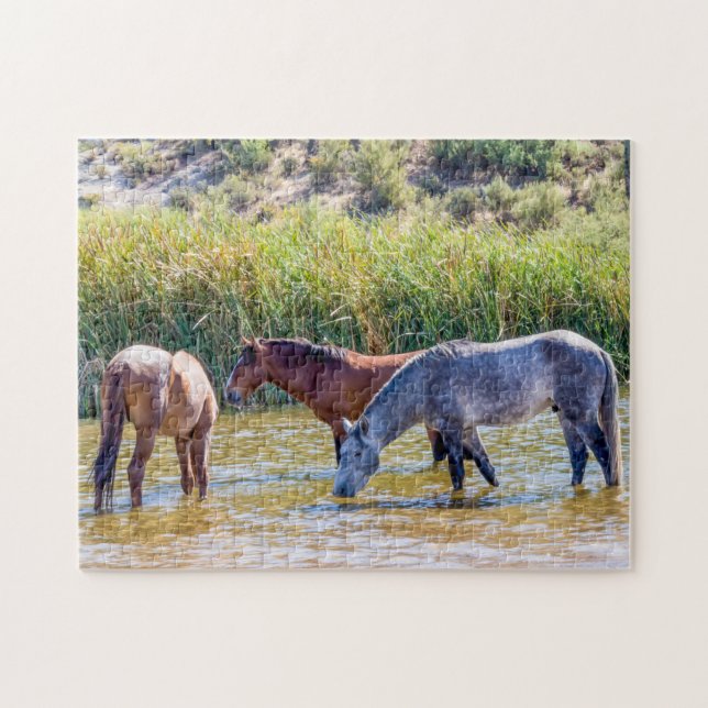 9715-Wilde Mustangs in Fluss (Horizontal)