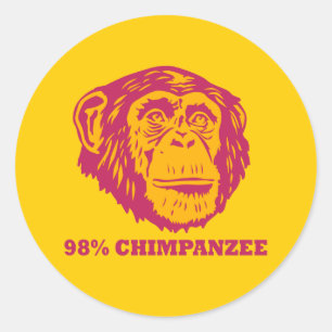 98% Schimpanse Runder Aufkleber