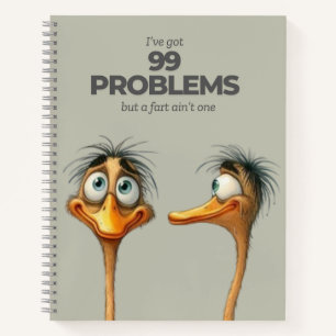 99 Problèmes Carnet Spiral