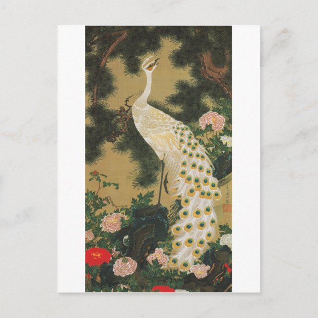 9. 老松孔雀図, 若冲 alte Kiefer und Pfau, Jakuchu Postkarte (Vorderseite)