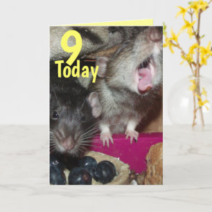 9 aujourd'hui Baby rats carte de voeux d'anniversa