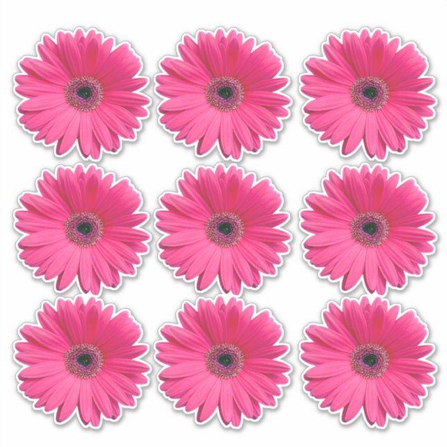 9 autocollants en forme de fleur de gerbera rose (Devant)