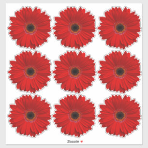 9 autocollants Kiss-Cut à fleurs de marguerite Ger