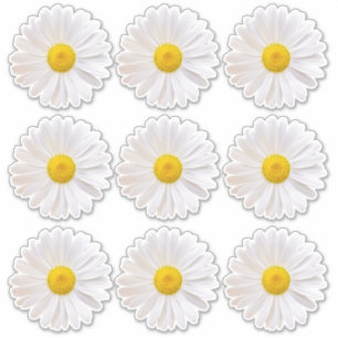 9 autocollants Kiss-Cut à fleurs Marguerite de Sha