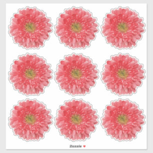 9 Autocollants Kiss-Cut de Fleur de Gérbera Corail