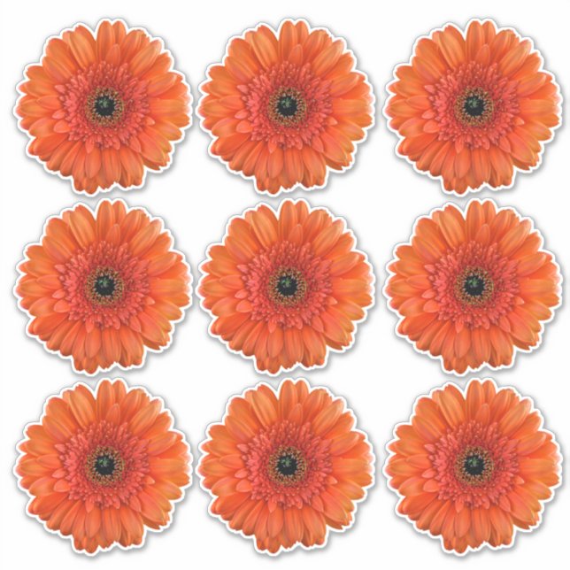 9 autocollants Kiss-Cut de fleurs d'orange Gerbera (Devant)