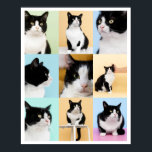 9 Foto Moderner Katzenkatze Poster<br><div class="desc">Ein modernes, individuelles 9 Foto Collage Poster, das für Sie bereit ist, Ihre Lieblings-Fotos Ihrer Katze oder Ihres Hundes hochzuladen. Schönes gerahmt oder ungerahmt. Original art ©Marisu Valencia</div>
