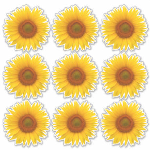 9 Gelb Orange Sonnenblumen-Blumen-Kiss-Cut-Aufkleb Aufkleber