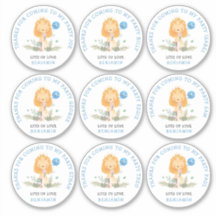 9 Individuelle Namen Blue Danke Lion