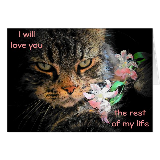 9 Leben in Liebe Sie Cat Meme (Vorderseite (Horizontal))