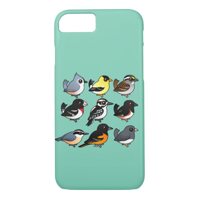 9 Nordost-USA-Hinterhof-Vögel Case-Mate iPhone Hülle (Rückseite)