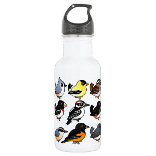 9 Nordost-USA-Hinterhof-Vögel Trinkflasche
