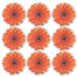 9 Orange Gerbera Daisy Blume Kiss-Cut Stickers Aufkleber