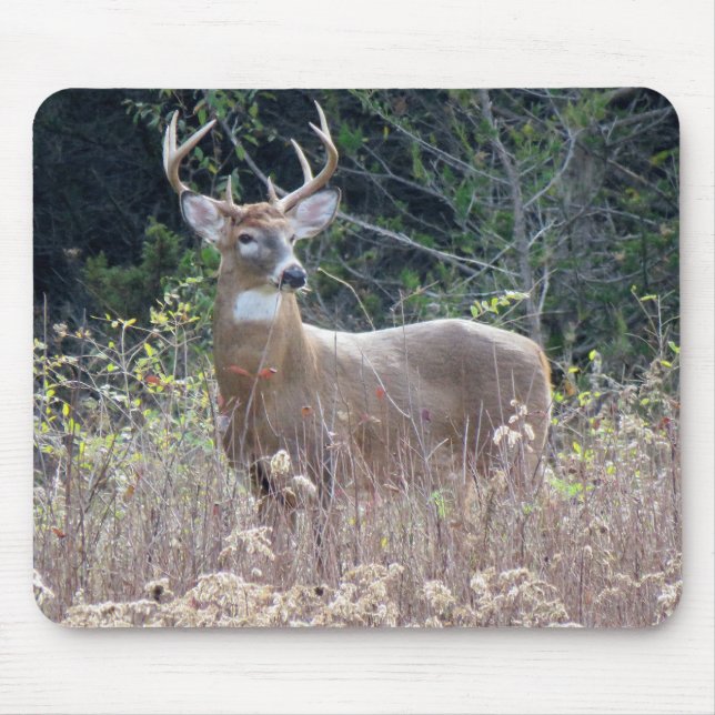 9" x 8" Maus-Pad Mousepad (Vorne)