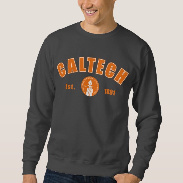9be4400f-6 sweatshirt (Vorderseite)