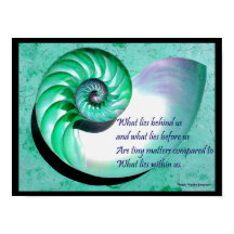 A01 Nautilus Muschel Poster mit inspirierendem Zit