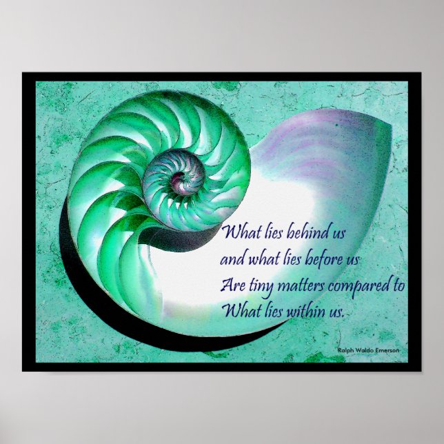 A01 Poster de coquille Nautilus avec une citation  (Devant)
