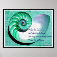 A01b Nautilus Muschel Poster - Inspiration Zitat