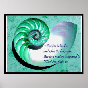 A01b Nautilus Muschel Poster - Inspiration Zitat