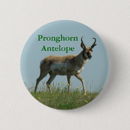 A10 Pronghorn Antelope Button