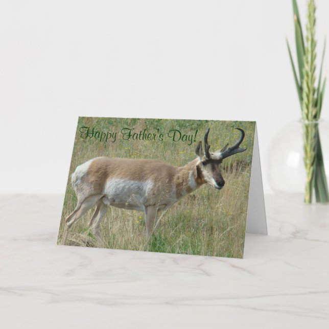 A12 Pronghorn Antelope Buck Karte (Vorderseite)
