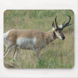 A12 Pronghorn Antelope Buck Mousepad