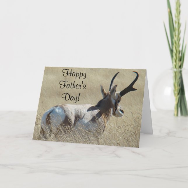 A14 Pronghorn Antelope Sunshine Buck Karte (Vorderseite)