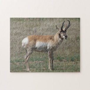 A15 Gabelbock Ruder Bock