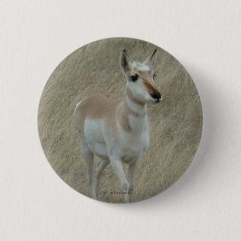 A17 Pronghorn Antelope Button