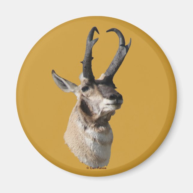 A18 Pronghorn Antelope Buck Shot Magnet (Vorne)