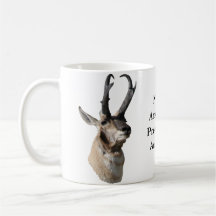 A18 Pronghorn Antilopen-Kopf