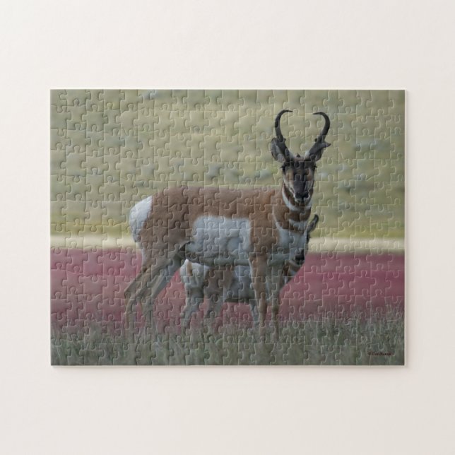 A24 Gabelbock (Horizontal)