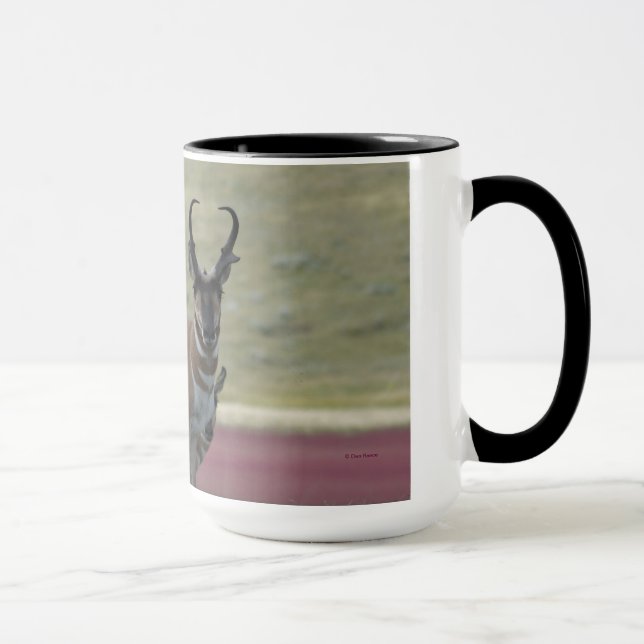 A24 Pronghorn Antelope Tasse (Rechts)