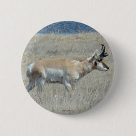 A25 Pronghorn Antelope Button