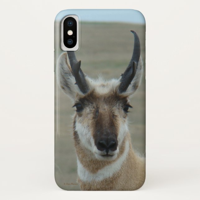 A30 Pronghorn Antelope Head Shot Case-Mate iPhone Hülle (Rückseite)