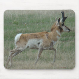 A32 Pronghorn Antelope Buck Mousepad