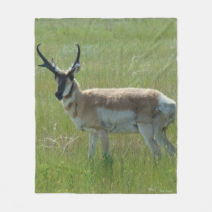 A36 Pronghorn Antilopen-Dollar Fleecedecke