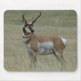 A37 Pronghorn Antelope Crooked Horns Mousepad