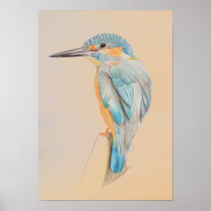 A3 Beau crayon Kingfisher Impression
